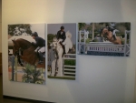northland-students-2011-wellington-equestrienne-season-photos-reproduced-onto-canvas